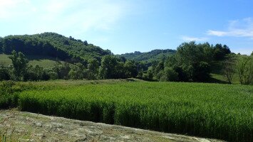 17. Répás-völgyi tanösvény