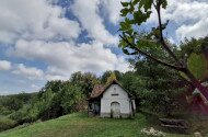 Tavaszköszöntő madárgyűrűzés a Szitakötő háznál