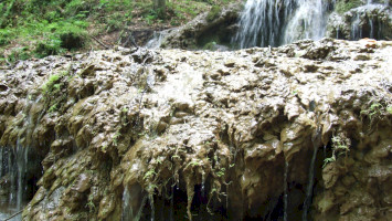 21. A Sebes-víz-völgy mésztufa képződményei