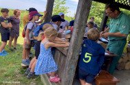 Évindító madárgyűrűzés Jávorkúton