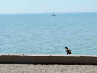                                                                                                                                 