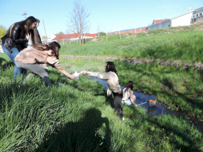                                                                                                                                 