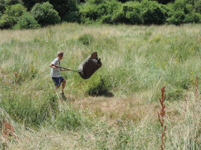                                                                                                                                 