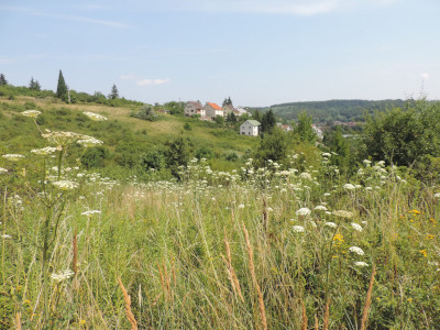                                                                                                                                 