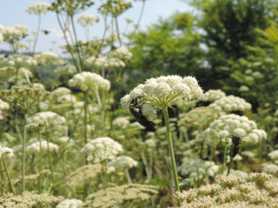                                                                                                                                 