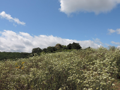                                                                                                                                 