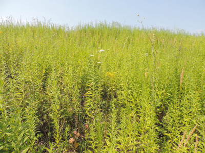                                                                                                                                 