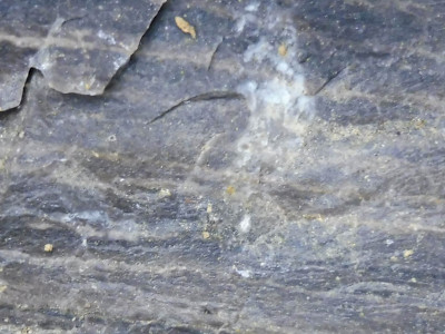 P1180417