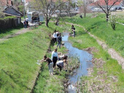                                                                                                                                 