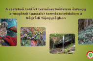 A cselekvő (aktív) természetvédelem és/vagy a megőrző (passzív) természetvédelem a Nógrádi Tájegységben