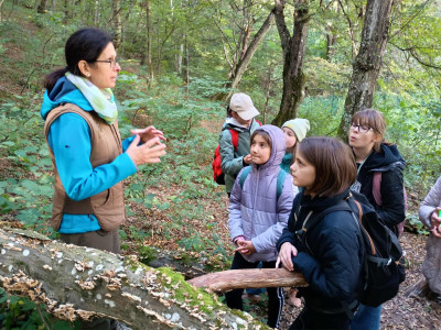 7d3e6071-ae64-45df-9618-189d5074ff41