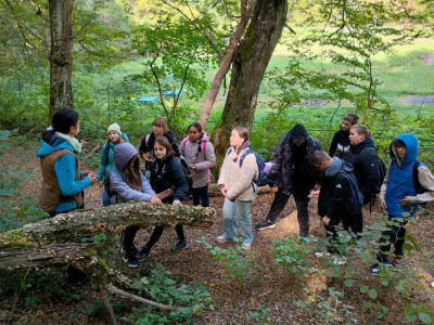 696aef42-7a69-4e72-a64a-03ecf290e583