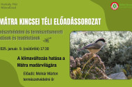 A Mátra Kincsei téli előadássorozat - A klímaváltozás hatása a Mátra madárvilágára