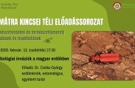 A Mátra Kincsei téli előadássorozat - Biológiai inváziók a magyar erdőkben