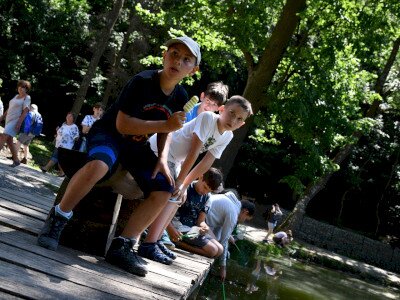 ASCII                                       