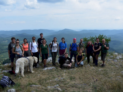 ASCII                                       