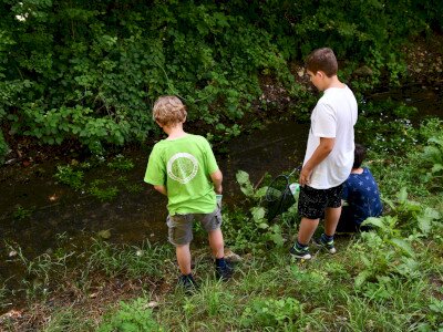 ASCII                                       