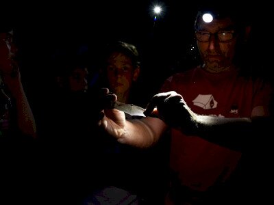 ASCII                                       