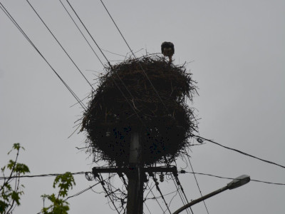 ASCII��� �����������������������������������