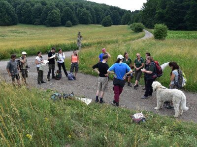 ASCII                                       