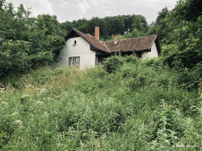 Szitakötő Ház_240622_Budai Roxana