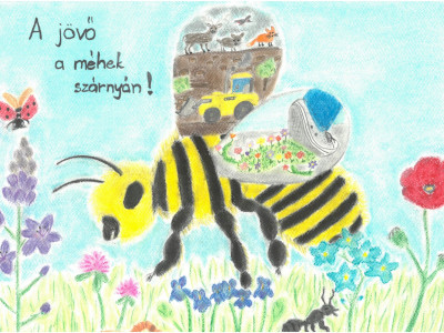 III_1.hely_Juhász Flóra