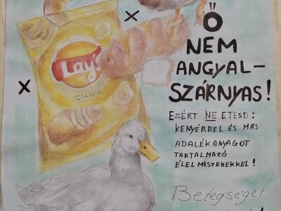 VI_3.hely_Papp Lorina