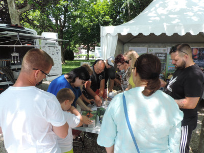                                                                                                                                 