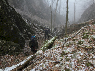 84950183_748833705521700_6206085330194399232_o