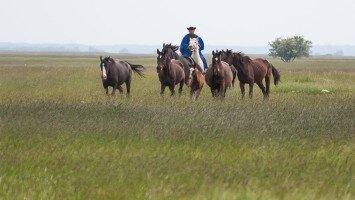 Borsodi-Mezőség Tájvédelmi Körzet