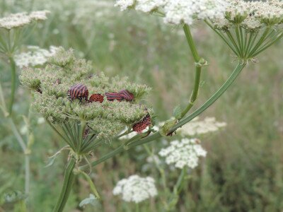                                                                                                                                 