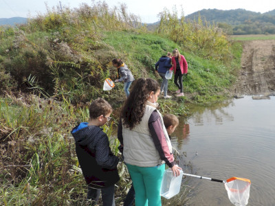                                                                                                                                 