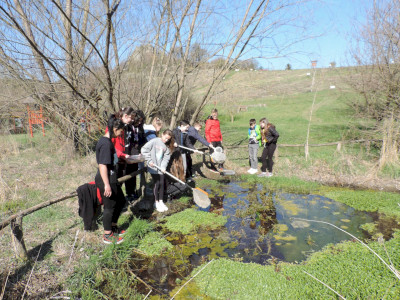                                                                                                                                 