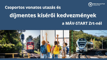 díjmentes kísérői kedvezmény, ingyenes utazás, MÁV csoportos utazás, vonatos utazási kedvezmény, vonatos csoportos utazás