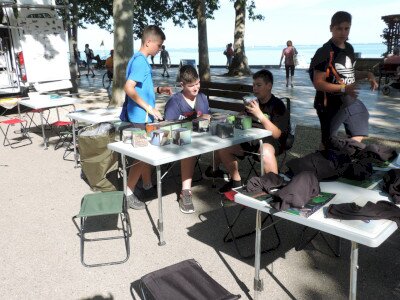                                                                                                                                 