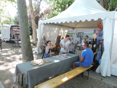                                                                                                                                 