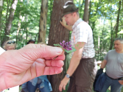 20240615_142325_1920