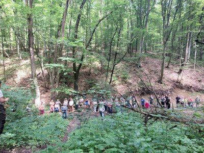 20240615_141039_1920