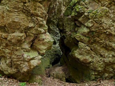P1470183