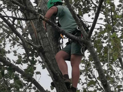 14. kép_ Mászás 2