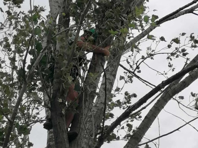 15. kép_ Mászás 3