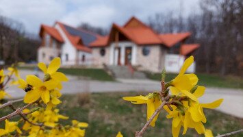 Harkály-ház beltér