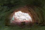 Határon átívelő fatörzsbarlang túra a miocén ősvilágba