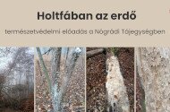 Holtfában az erdő - természetvédelem előadás a Nógrádi Tájegységben