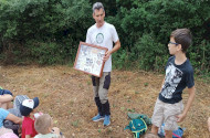 Természetmegőrzési Műhely - Színes szárnyakon: A lepkék különleges világa