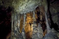 Bükki Nemzeti Park Igazgatóság, Szent István-barlang, Turizmus Világnapja, denevér