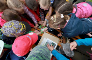 Felhívás - Föld napi akadályverseny Felsőtárkányban