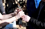 Őrizzük meg régi gyümölcsfajtáinkat – Újra oltónapok a Bükki Nemzeti Park Igazgatóságnál