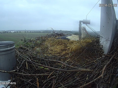 SnapShot-20240522_062446_esőben