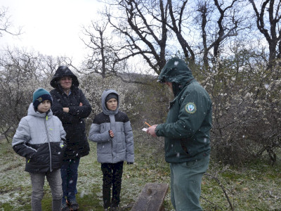 _DSC9298